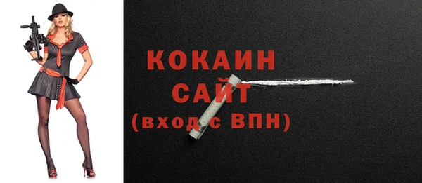 метадон Каменка