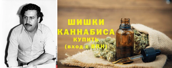 метадон Каменка
