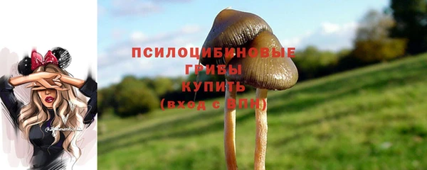 метадон Каменка