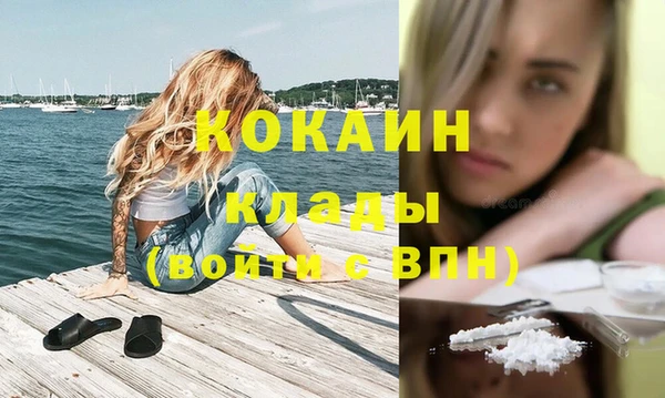 метадон Каменка