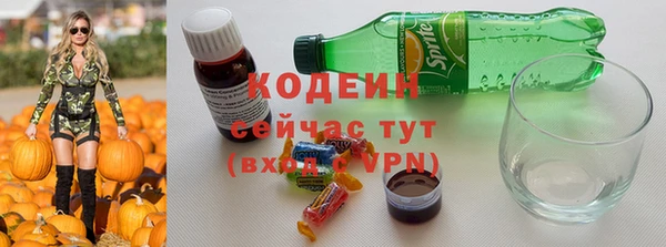 метадон Каменка