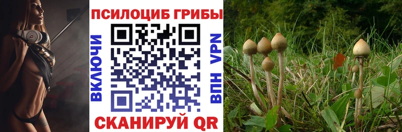 Галлюциногенные грибы мухоморы  Купить где  Ишим 
