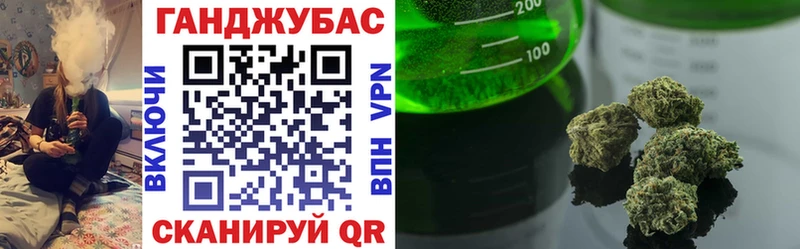 Купить где  Ишим  Бошки Шишки семена 